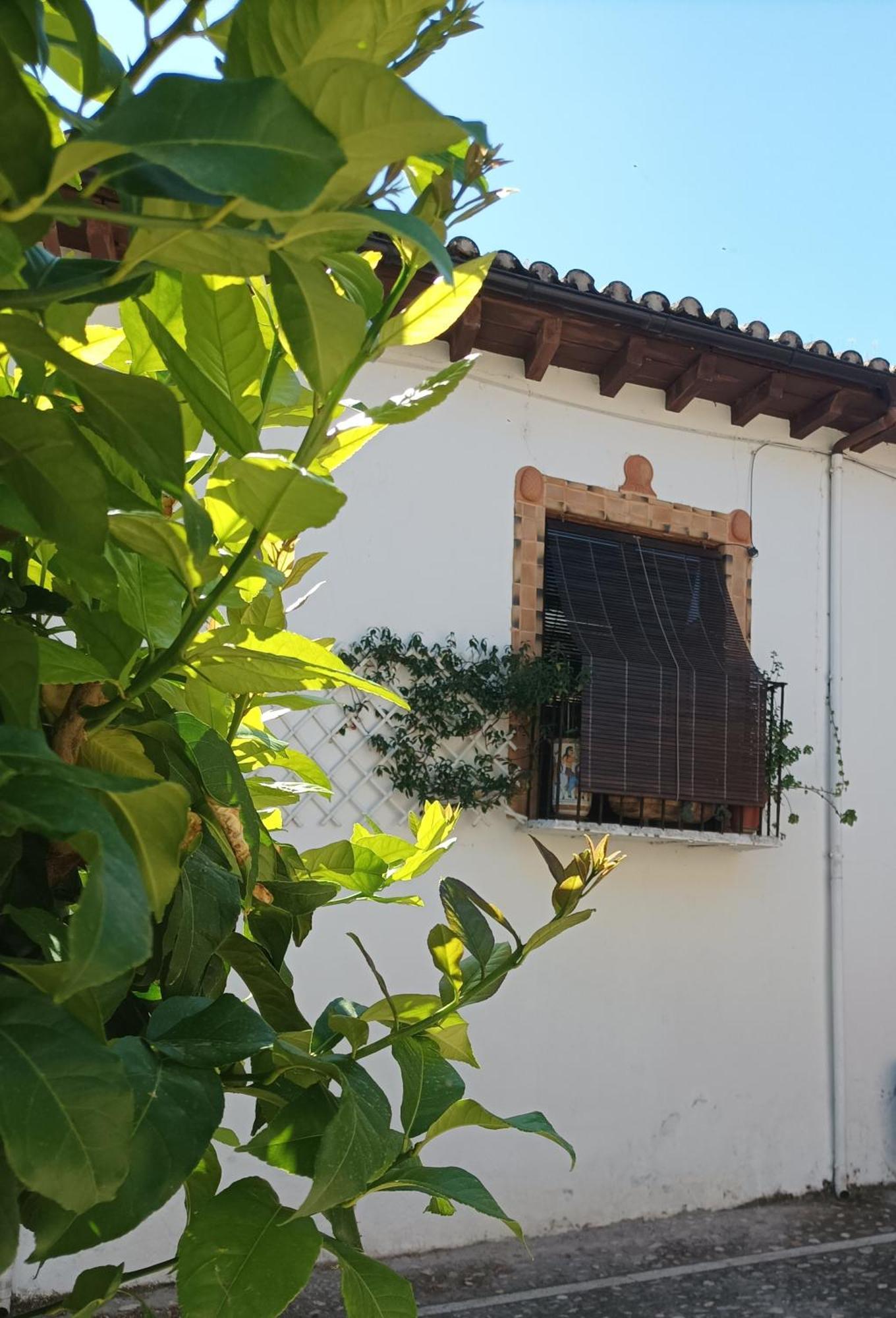 La Solana, Alojamiento Y Alfareria Arenas de San Pedro Εξωτερικό φωτογραφία